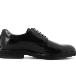 Scarpa Elegante Uomo con Lacci