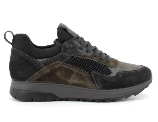 Scarpa  Igi & Co Art.6139000