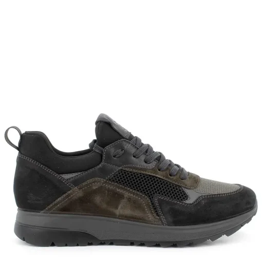 Scarpa  Igi & Co Art.6139000